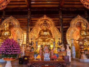 BAI DINH – TRANG AN -1 DAY