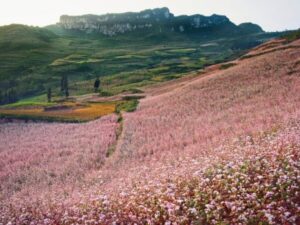 HANOI – HA GIANG – HANOI (5D/4N)