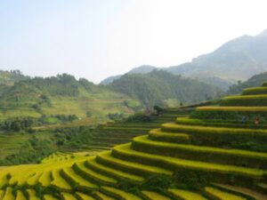 HANOI – TA XUA – MU CANG CHAI – SAPA – HANOI (8D/7N)